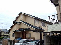 ���{�H����9