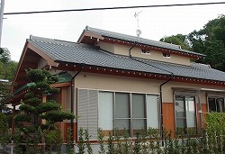 ���{�H����6